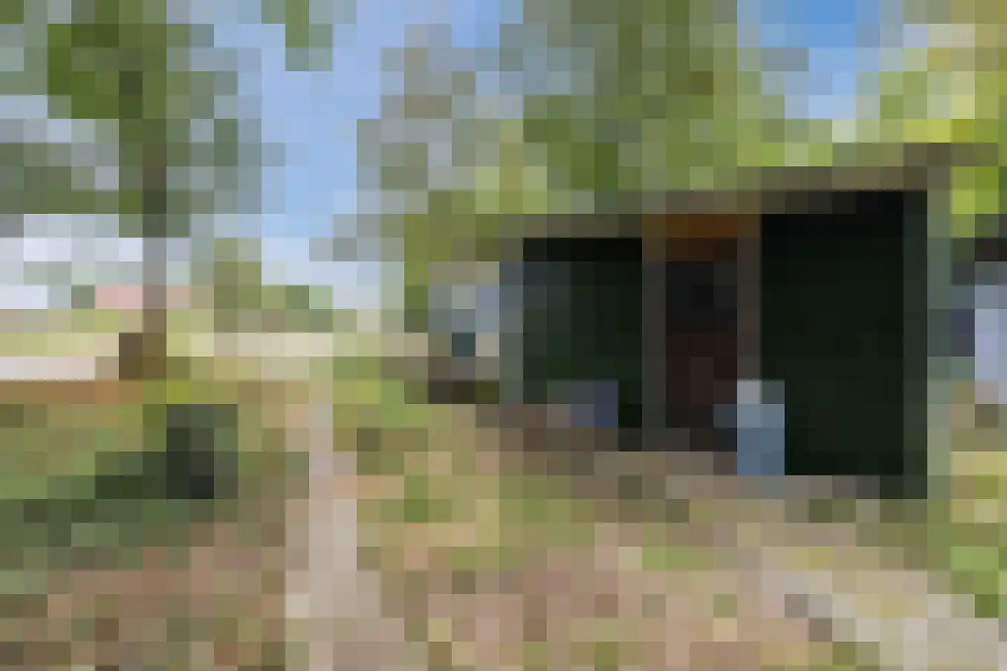 Langewijk 143 Elim thumbnail 25