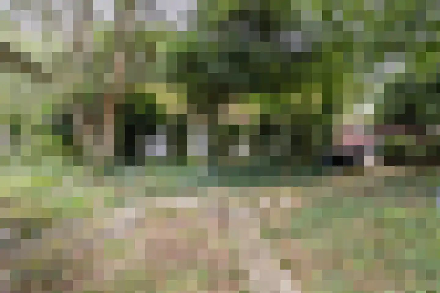 Langewijk 143 Elim thumbnail 31