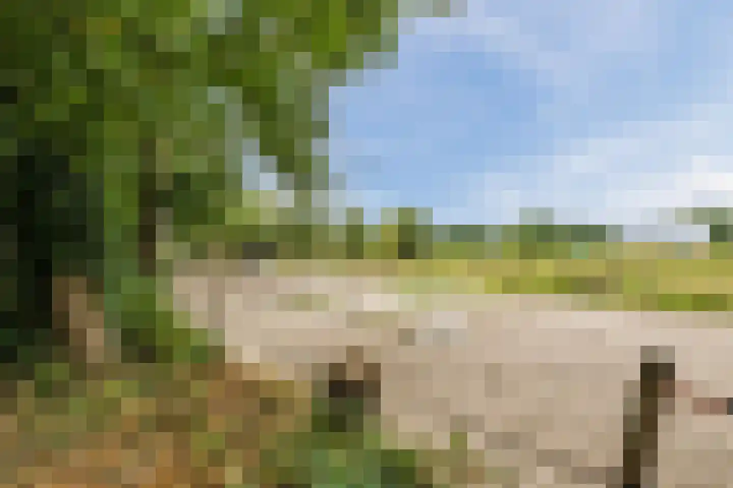 Langewijk 143 Elim thumbnail 36