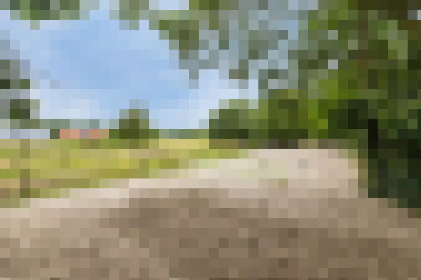 Langewijk 143 Elim thumbnail 4