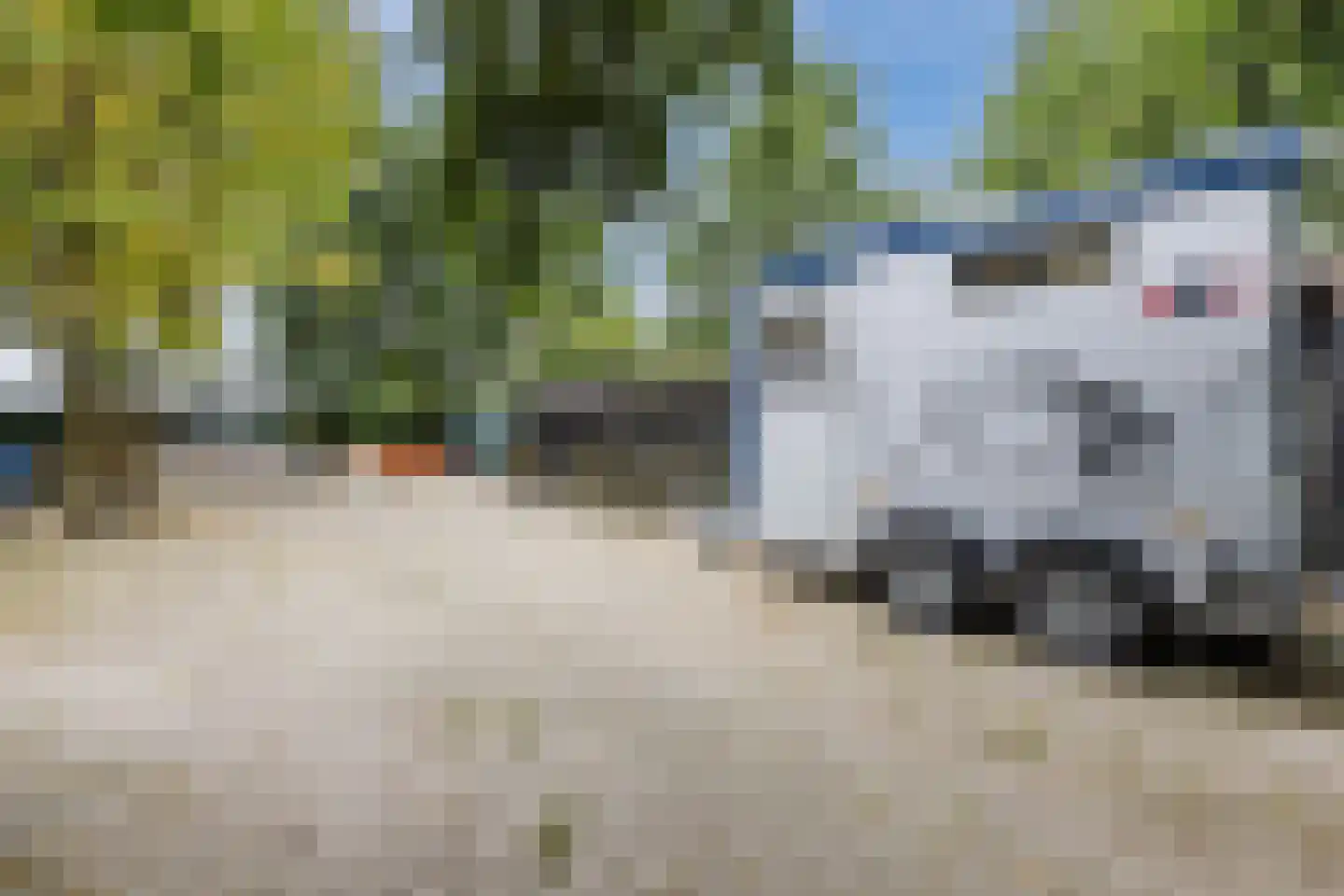 Langewijk 143 Elim thumbnail 46