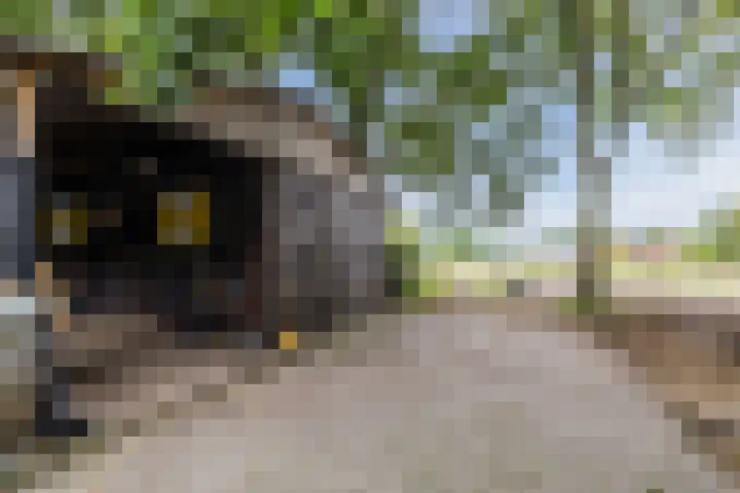 Langewijk 143 Elim thumbnail 47