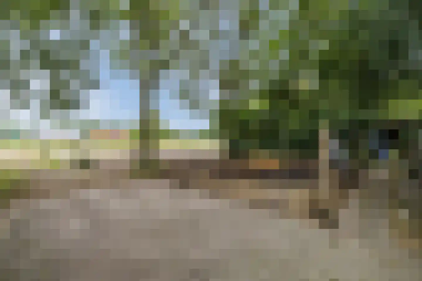 Langewijk 143 Elim thumbnail 48