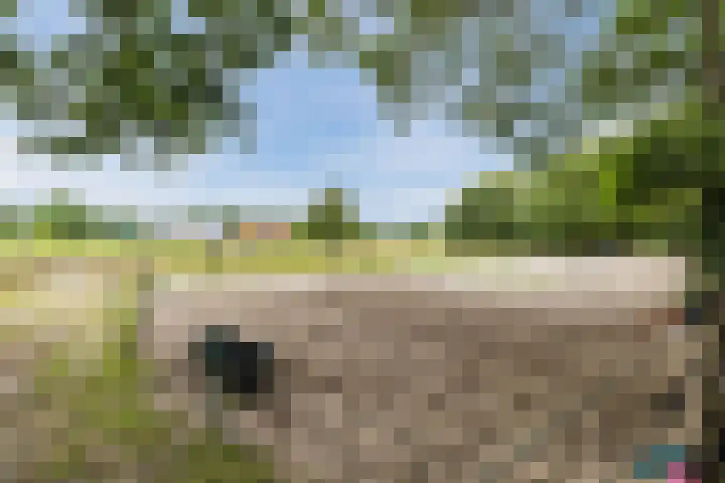 Langewijk 143 Elim thumbnail 49