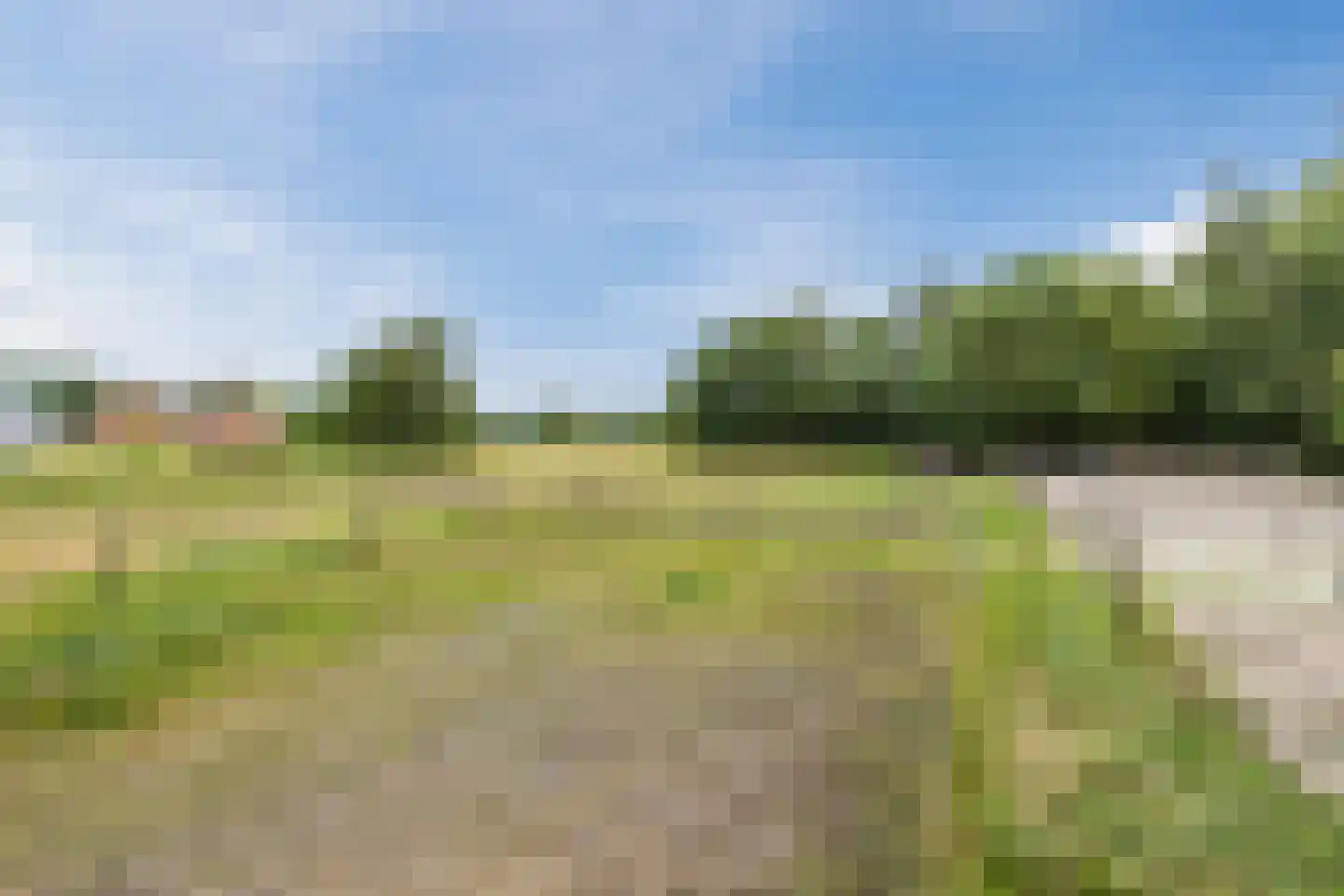 Langewijk 143 Elim thumbnail 52