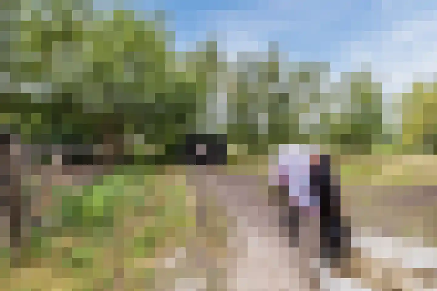 Langewijk 143 Elim thumbnail 53