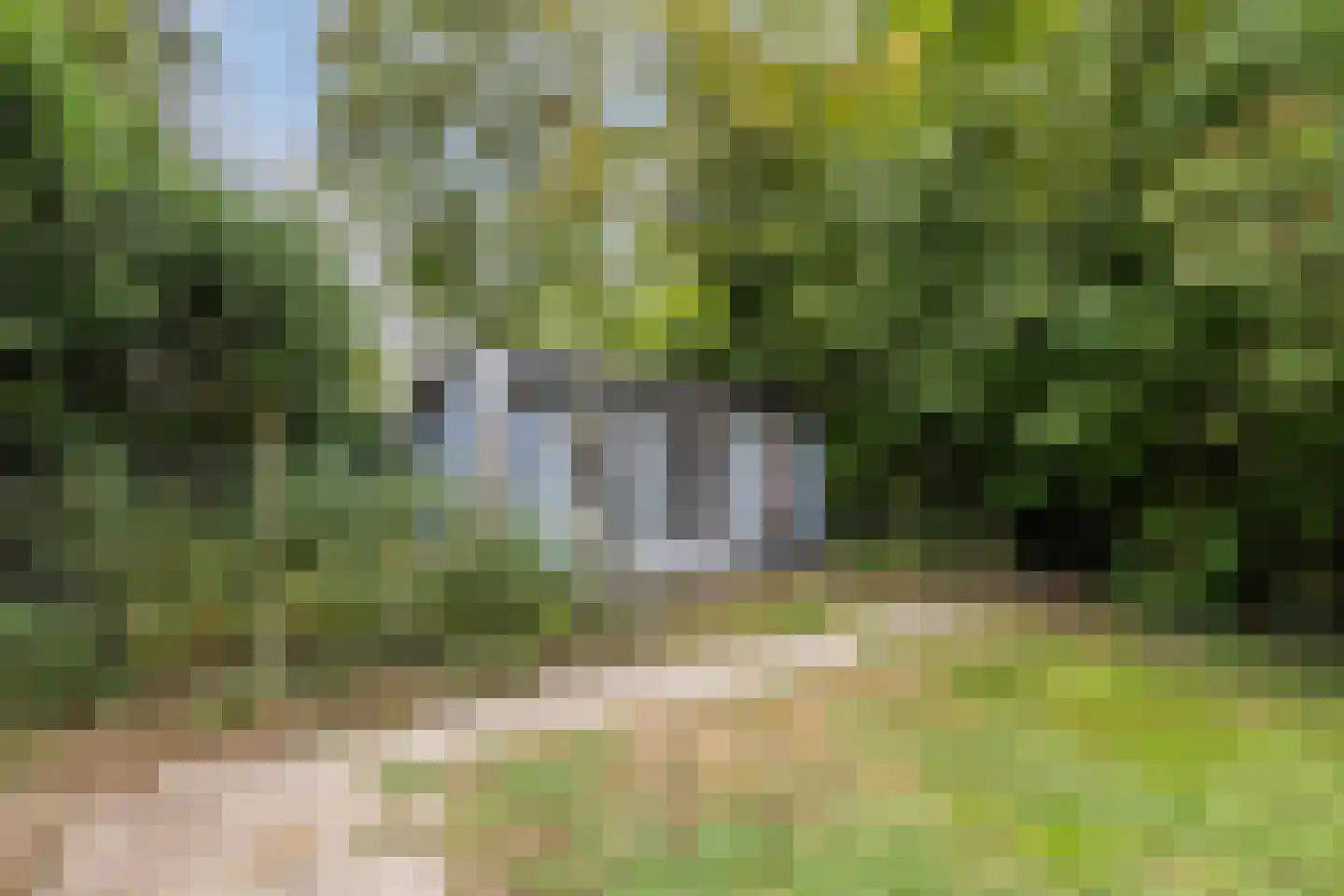 Langewijk 143 Elim thumbnail 57