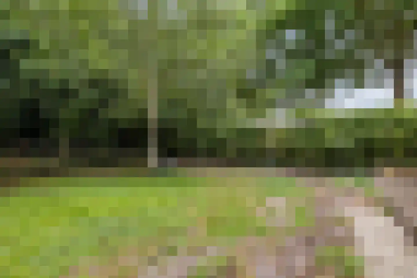 Langewijk 143 Elim thumbnail 58