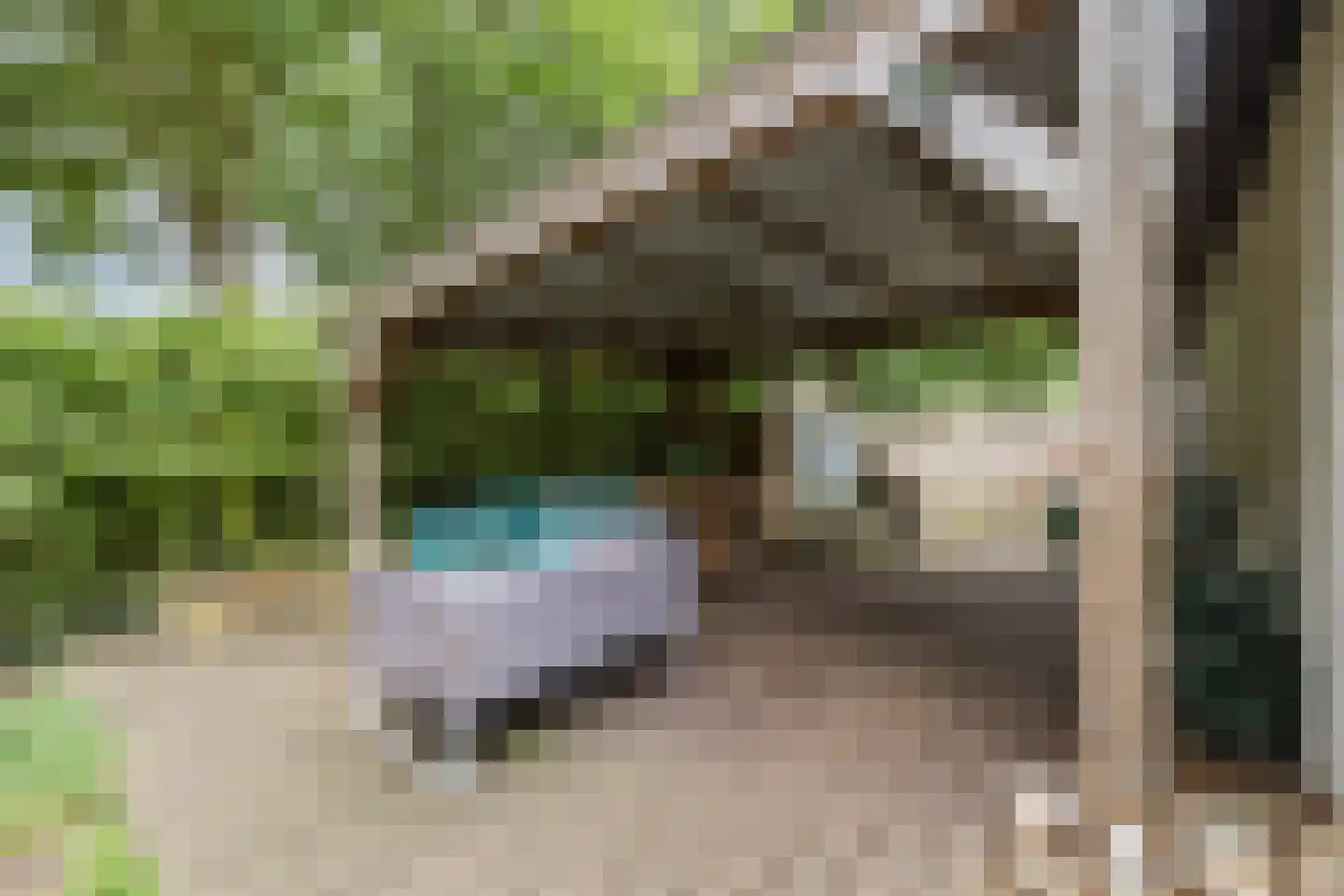 Langewijk 143 Elim thumbnail 59
