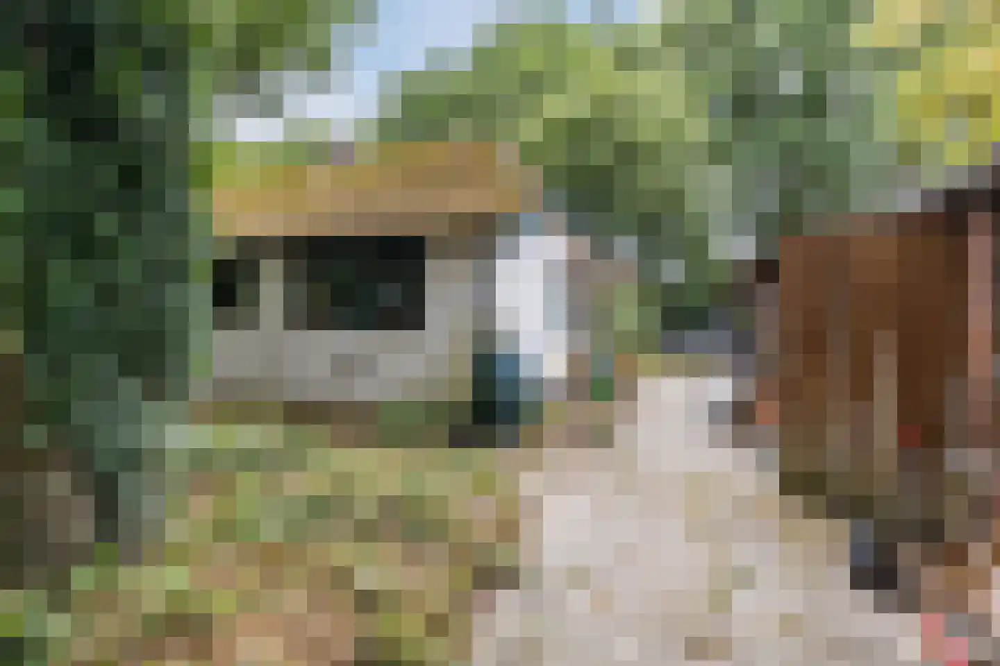 Langewijk 143 Elim thumbnail 6