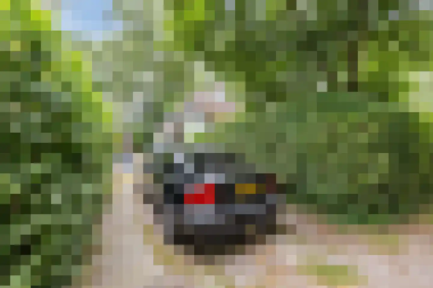 Langewijk 143 Elim thumbnail 61