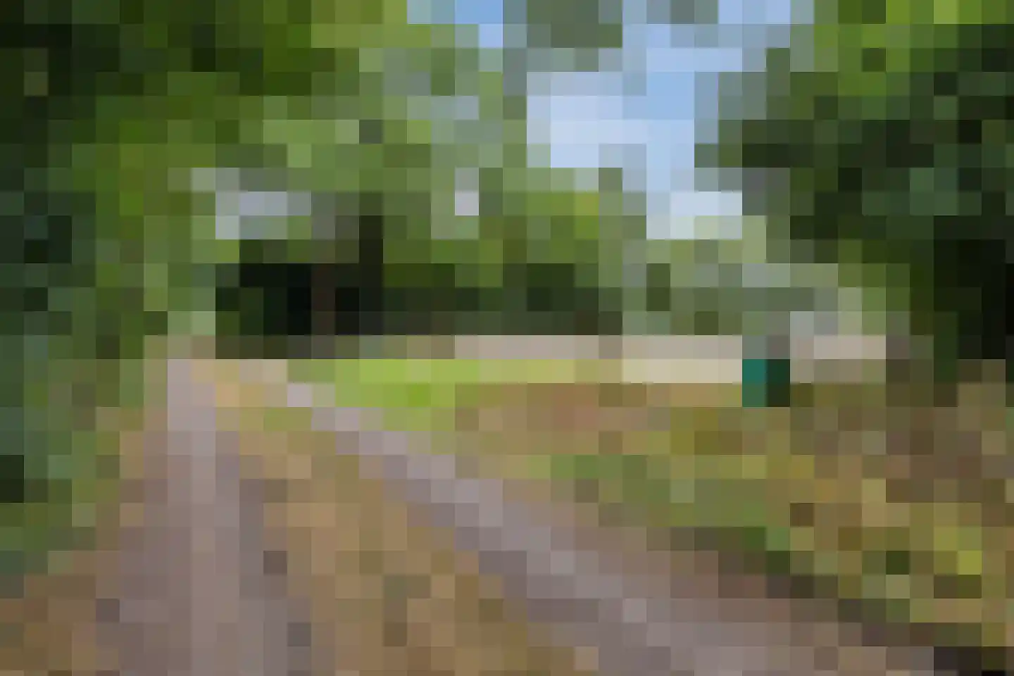 Langewijk 143 Elim thumbnail 62