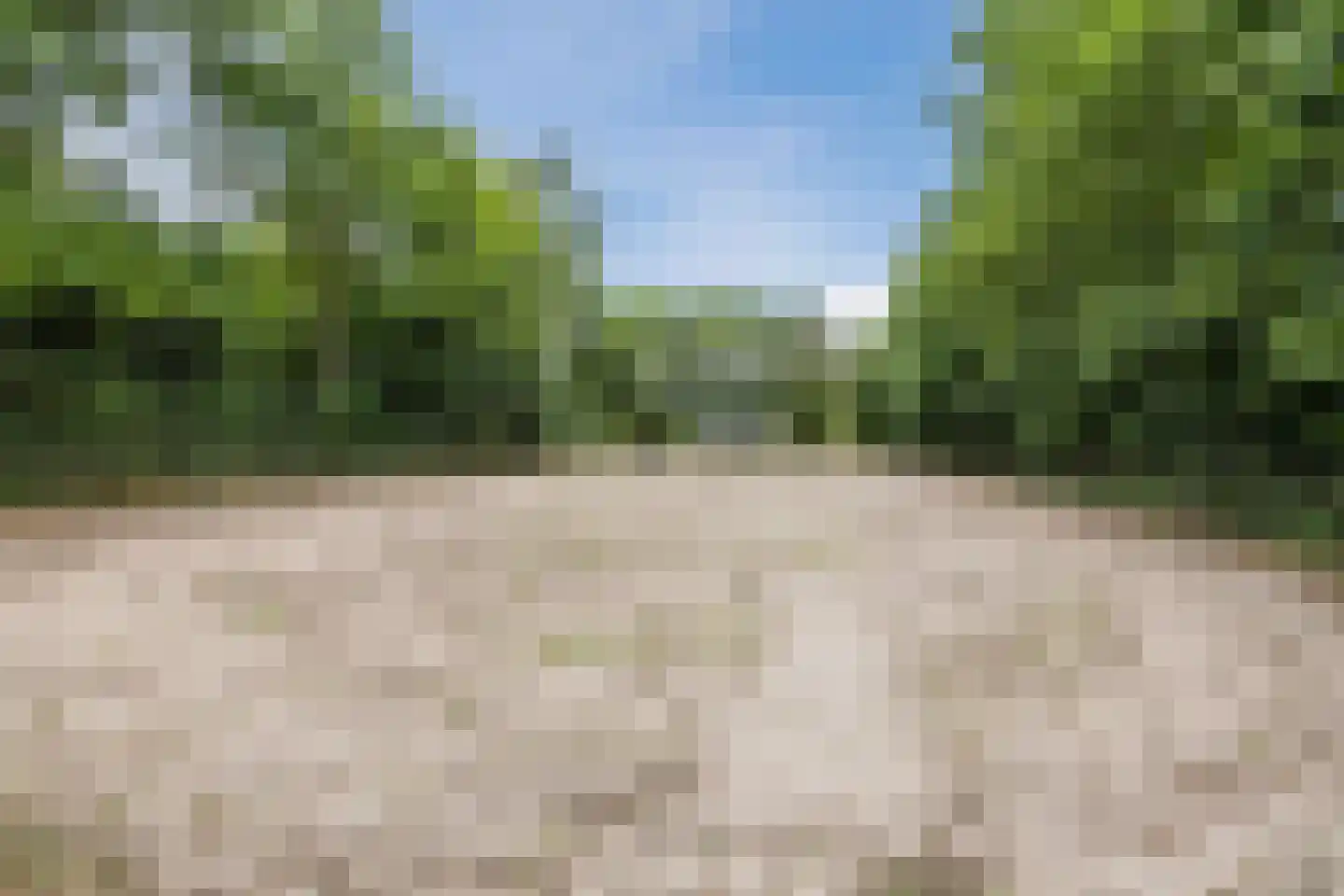 Langewijk 143 Elim thumbnail 63