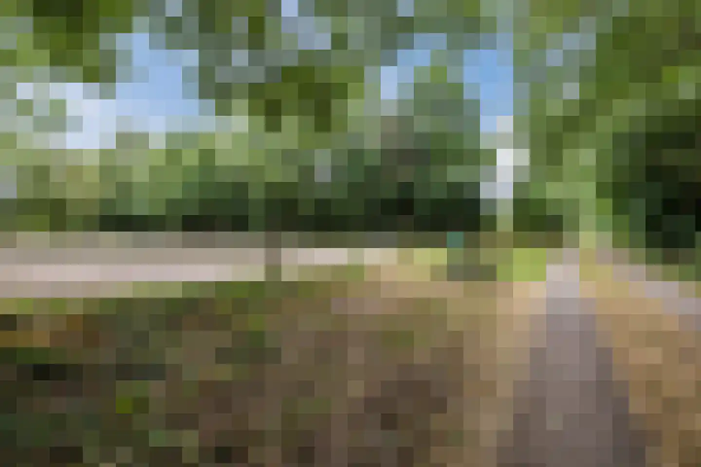 Langewijk 143 Elim thumbnail 64