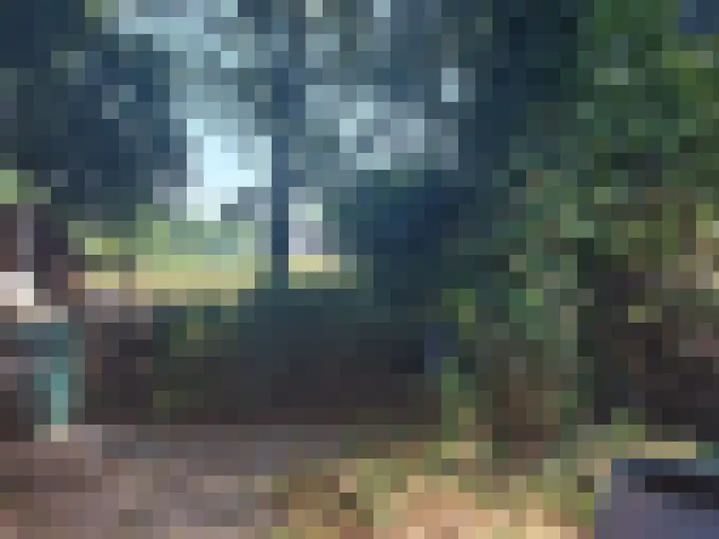 Langewijk 143 Elim thumbnail 69