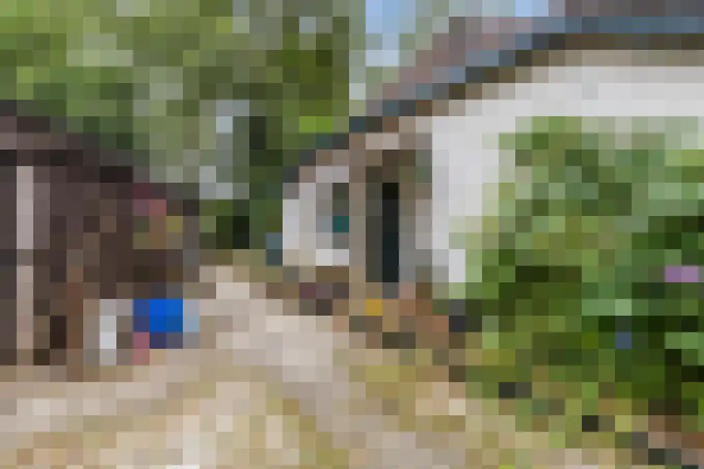 Langewijk 143 Elim thumbnail 7