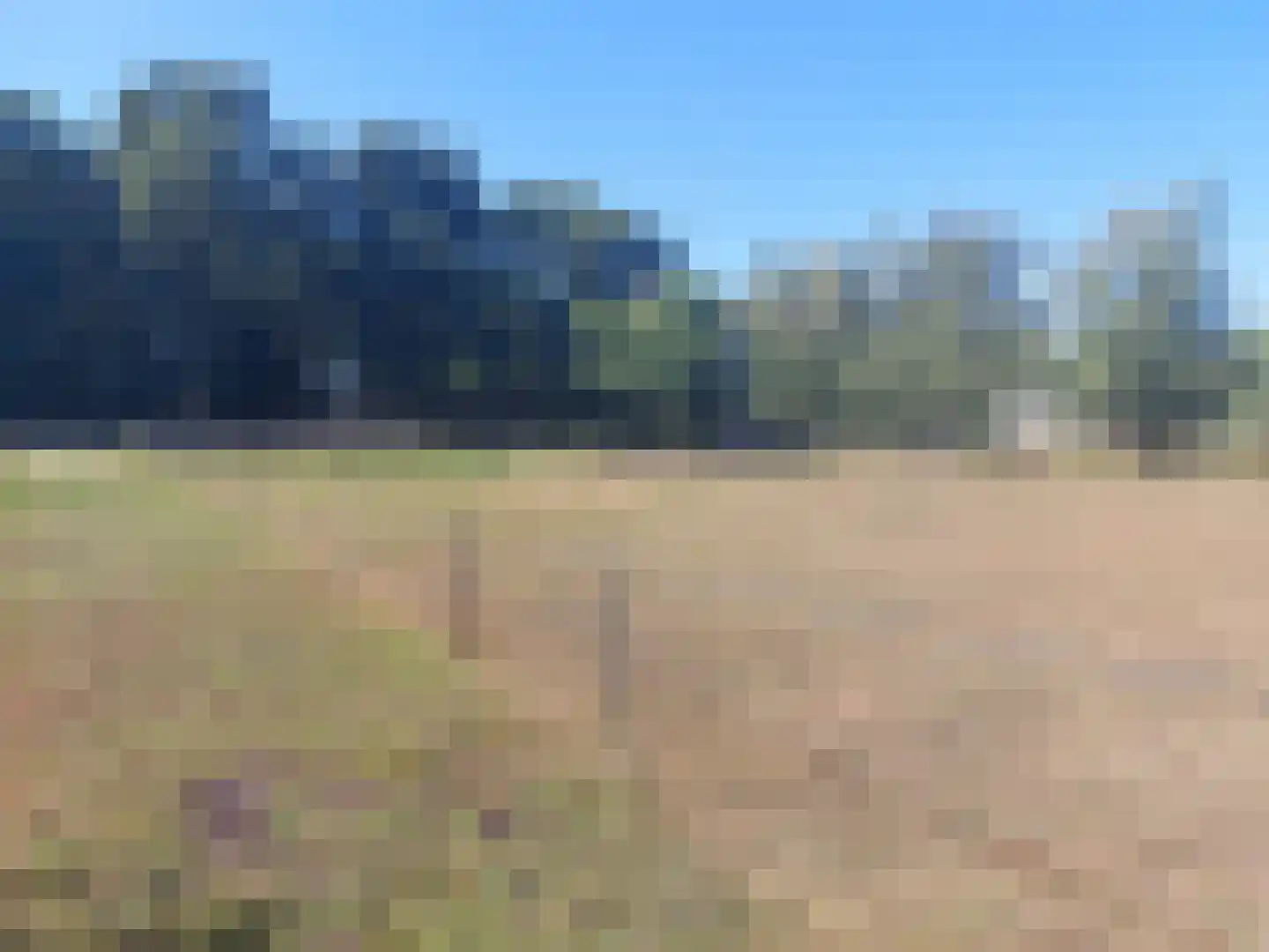 Langewijk 143 Elim thumbnail 70