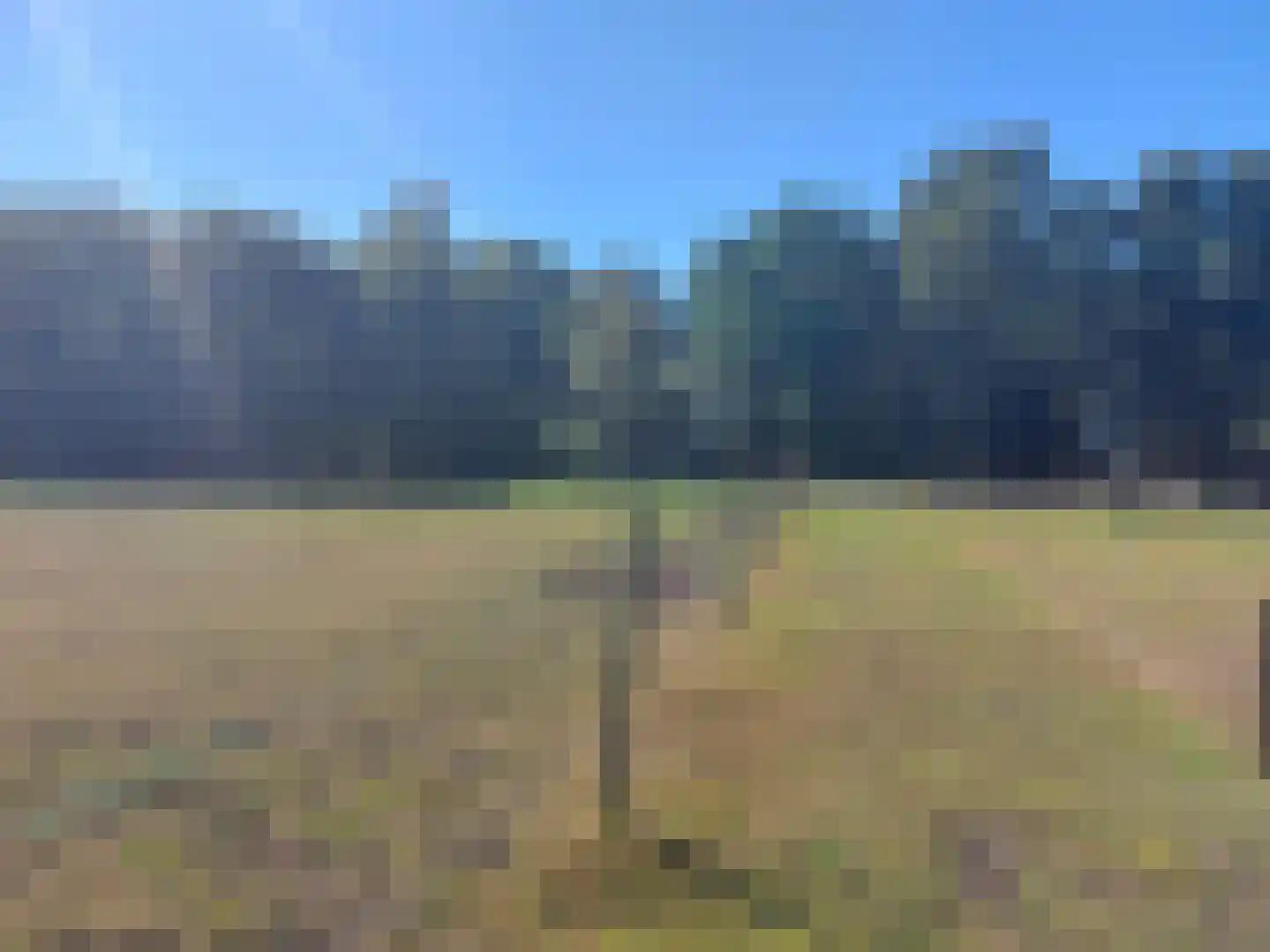 Langewijk 143 Elim thumbnail 71