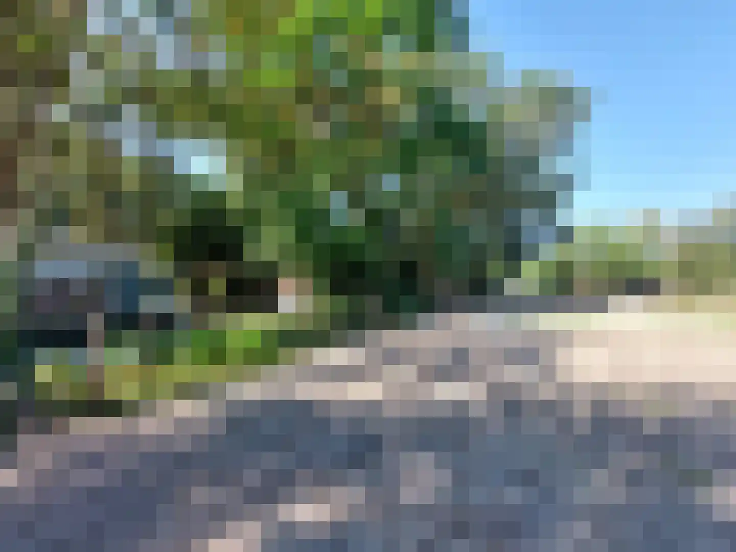 Langewijk 143 Elim thumbnail 74