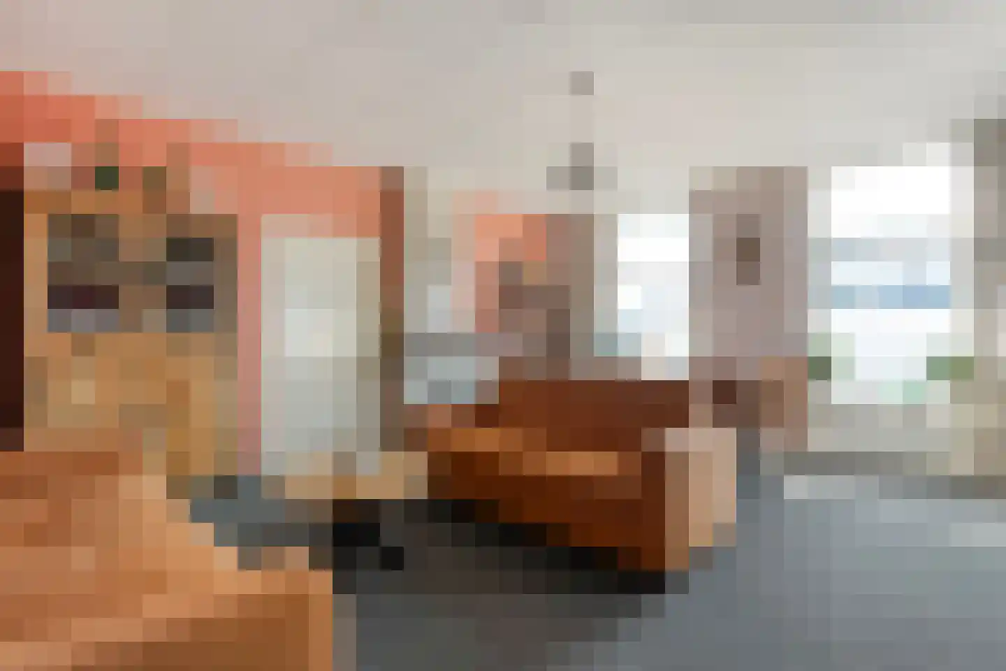 Langewijk 148 Dedemsvaart thumbnail 16