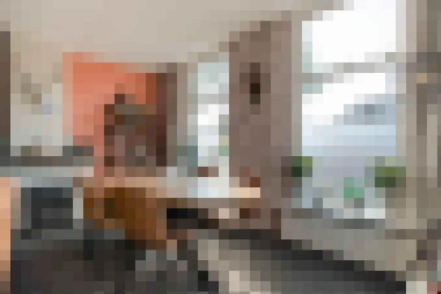 Langewijk 148 Dedemsvaart thumbnail 19
