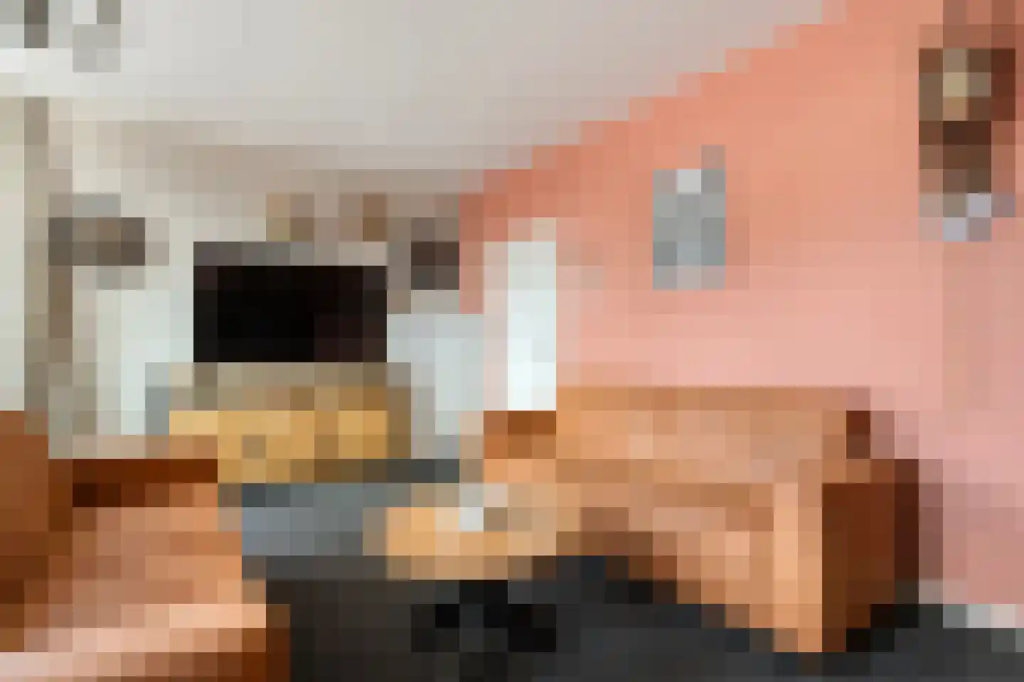 Langewijk 148 Dedemsvaart thumbnail 21