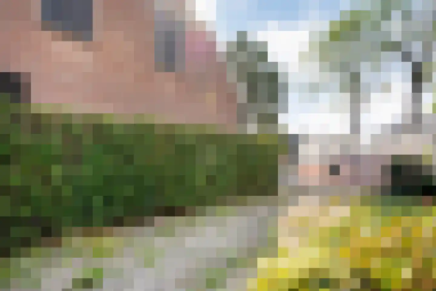 Langewijk 148 Dedemsvaart thumbnail 4