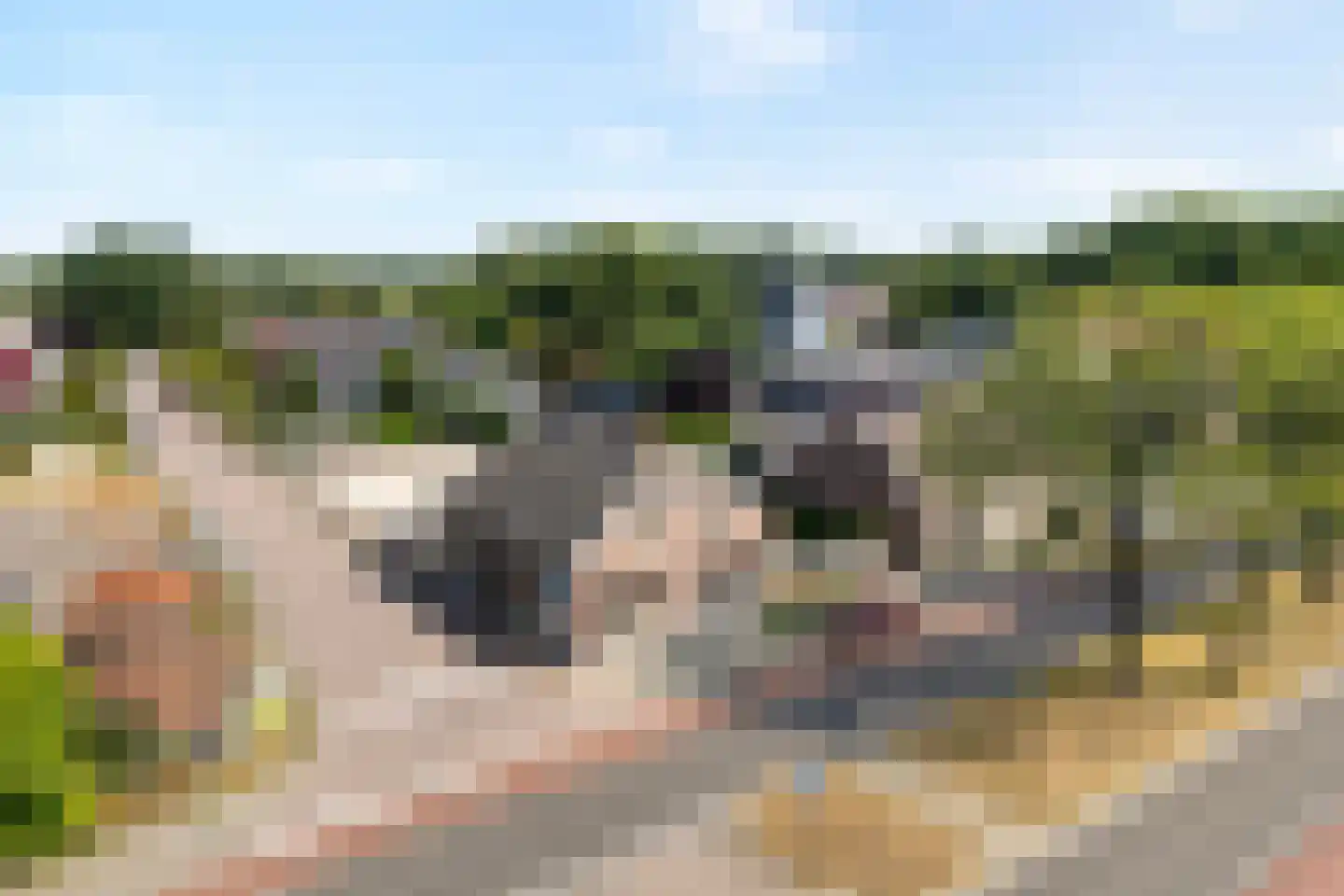 Langewijk 148 Dedemsvaart thumbnail 5