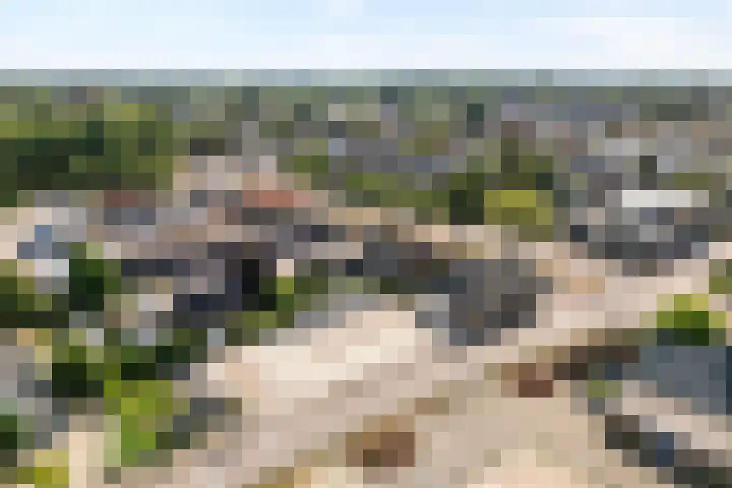 Langewijk 148 Dedemsvaart thumbnail 6