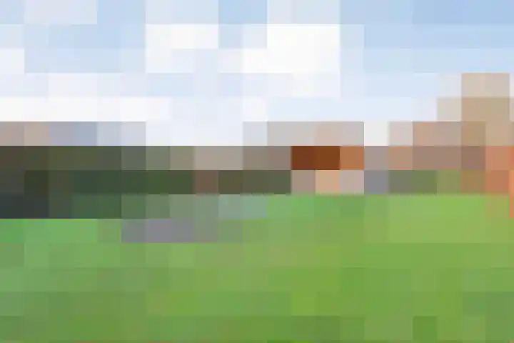 Langewijk 157 Dedemsvaart thumbnail 54