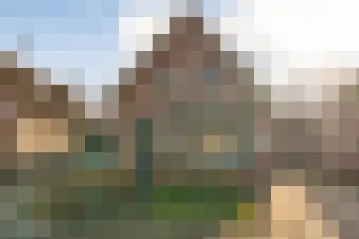 Langewijk 157 Dedemsvaart thumbnail 70