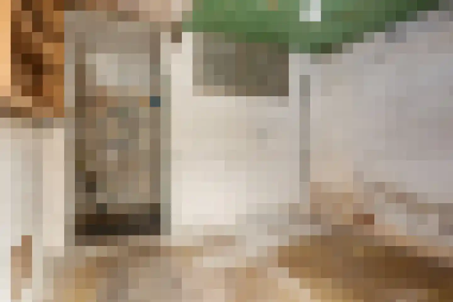 Langewijk 16 Sappemeer thumbnail 18
