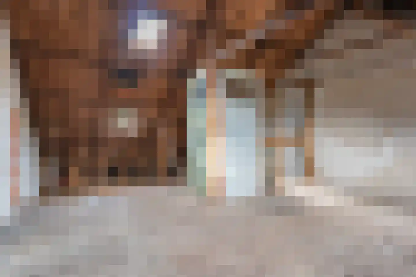 Langewijk 16 Sappemeer thumbnail 21