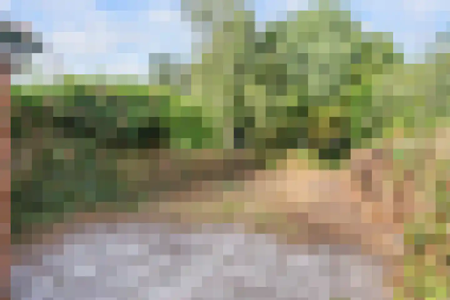Langewijk 16 Sappemeer thumbnail 23