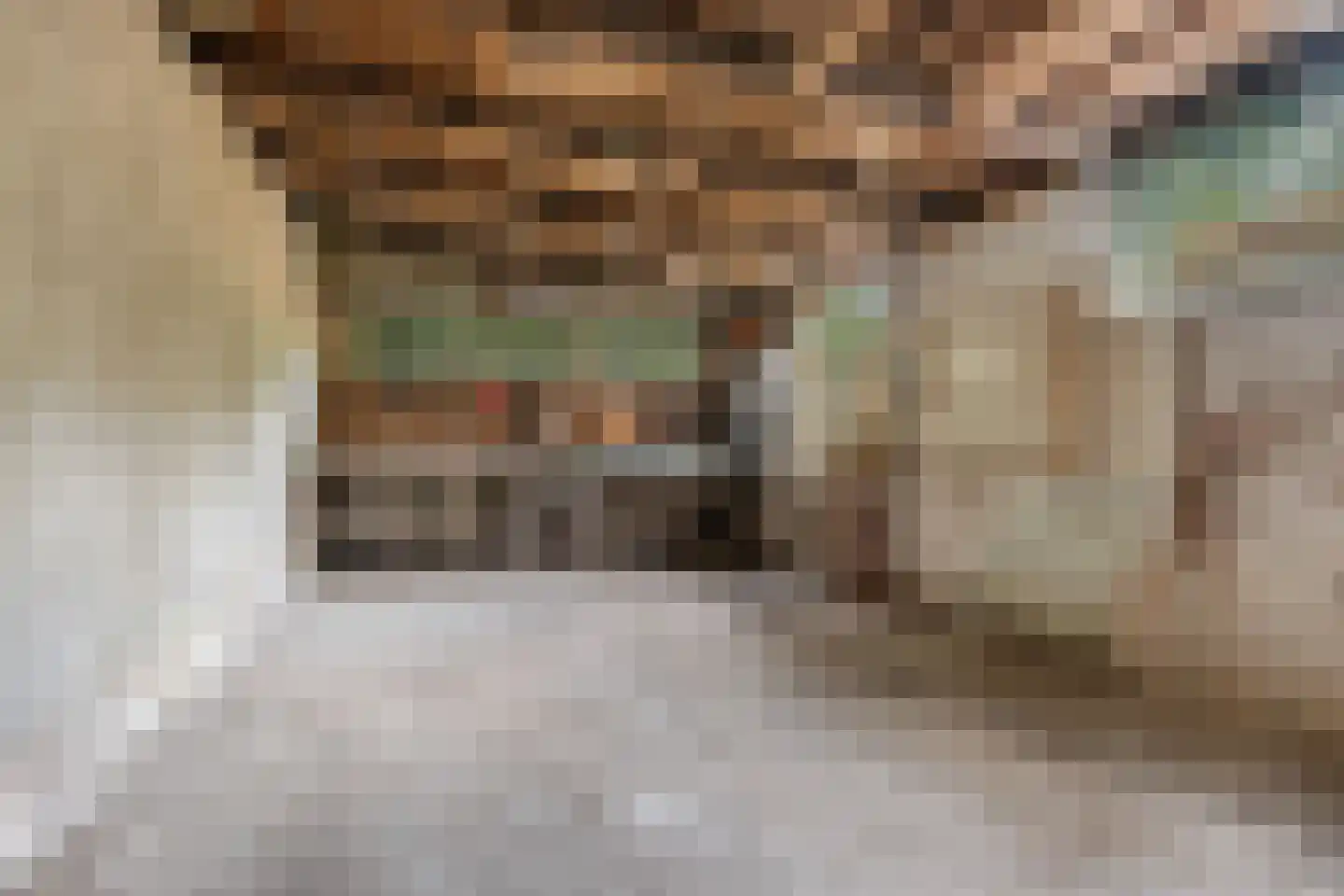 Langewijk 16 Sappemeer thumbnail 26