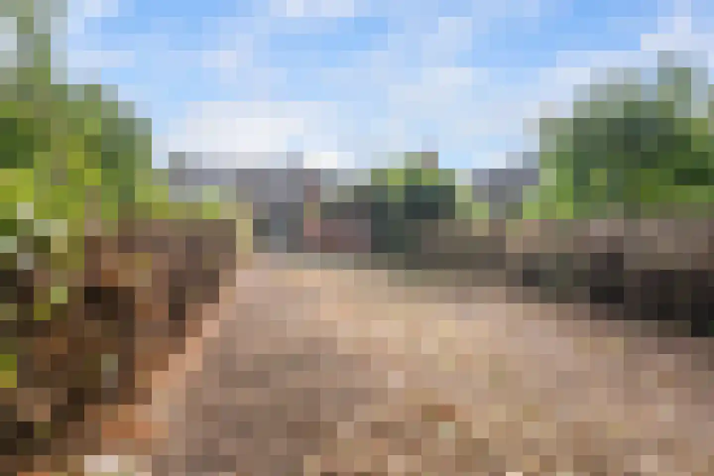 Langewijk 16 Sappemeer thumbnail 5