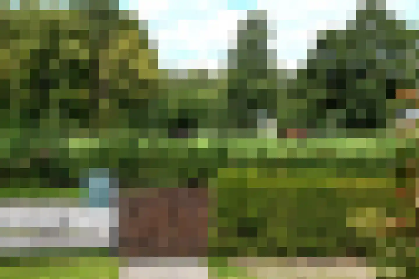 Langewijk 17 Nieuw-Roden thumbnail 17