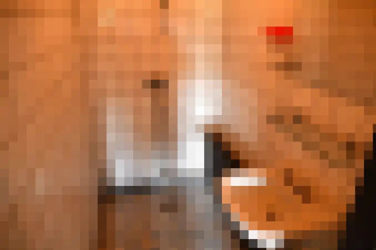 Langewijk 17 Nieuw-Roden thumbnail 30