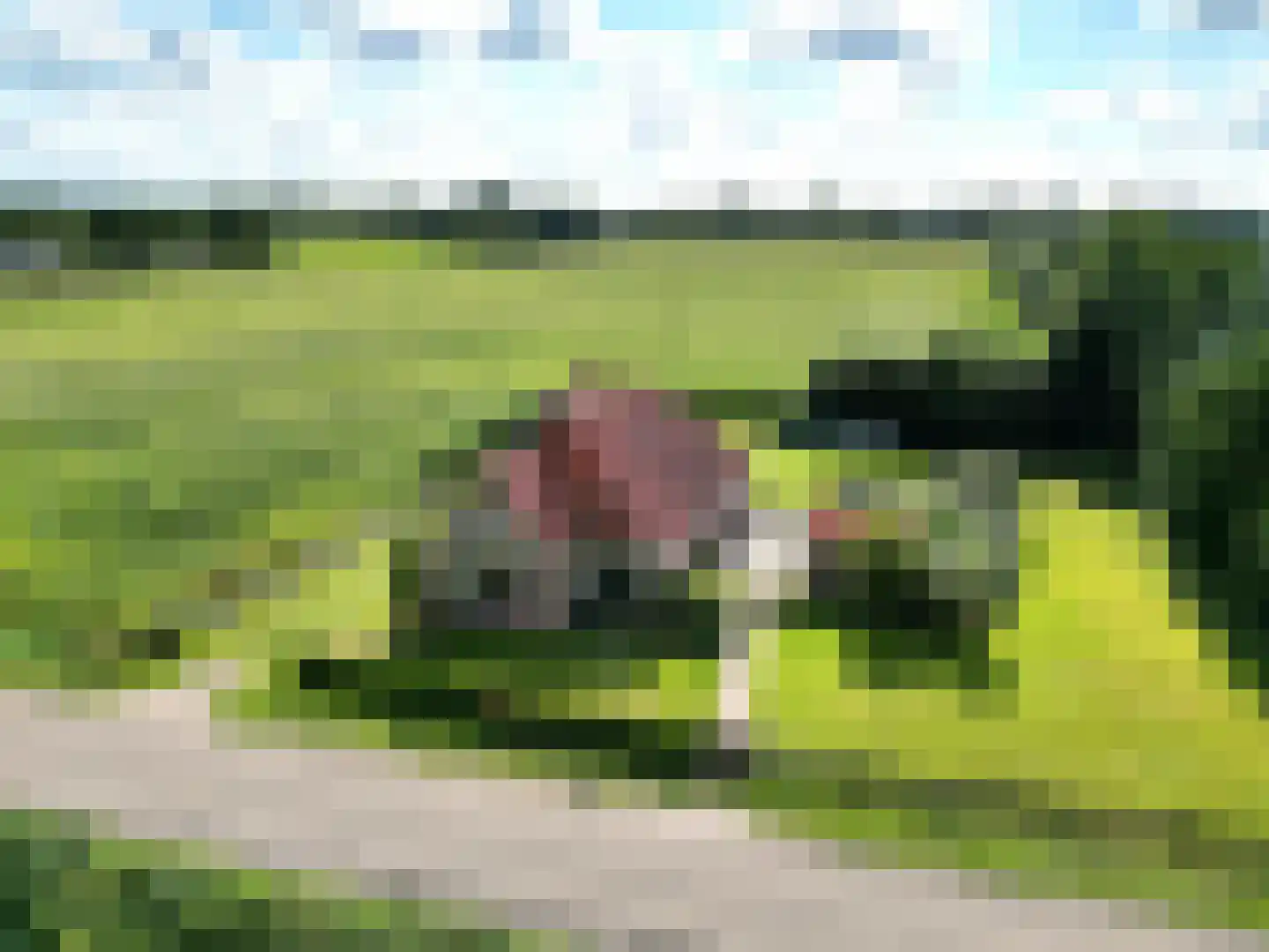Langewijk 17 Nieuw-Roden thumbnail 4