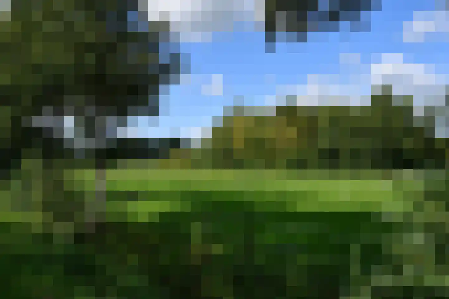 Langewijk 17 Nieuw-Roden thumbnail 43