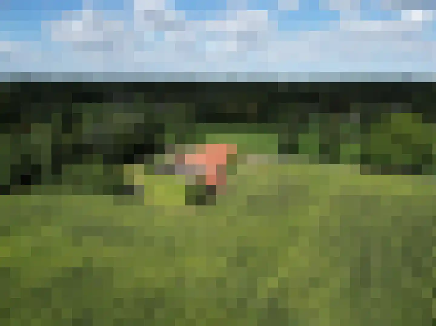 Langewijk 17 Nieuw-Roden thumbnail 45