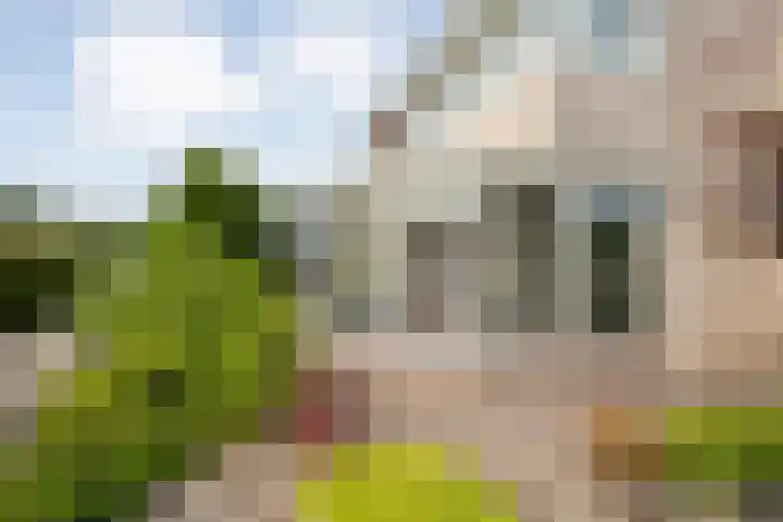 Langewijk 170 Dedemsvaart thumbnail 10