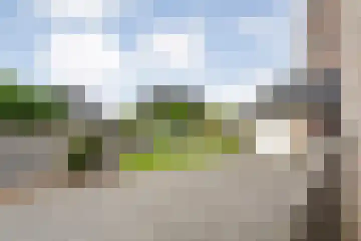 Langewijk 170 Dedemsvaart thumbnail 12