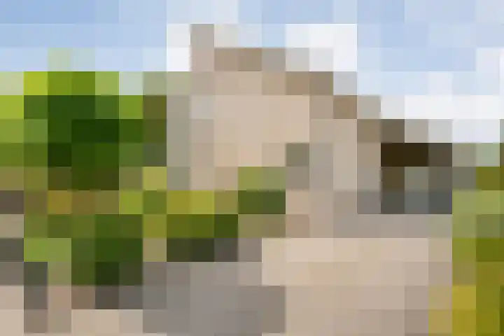 Langewijk 170 Dedemsvaart thumbnail 65