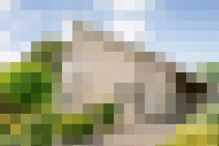 Langewijk 170 Dedemsvaart thumbnail 8
