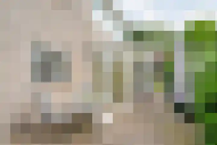 Langewijk 170 Dedemsvaart thumbnail 9