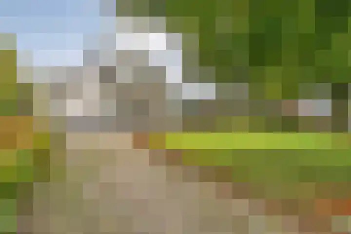 Langewijk 190 Dedemsvaart thumbnail 5