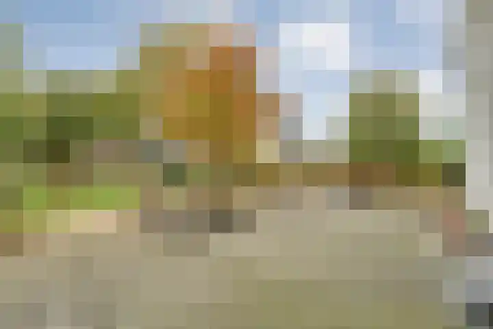 Langewijk 190 Dedemsvaart thumbnail 74