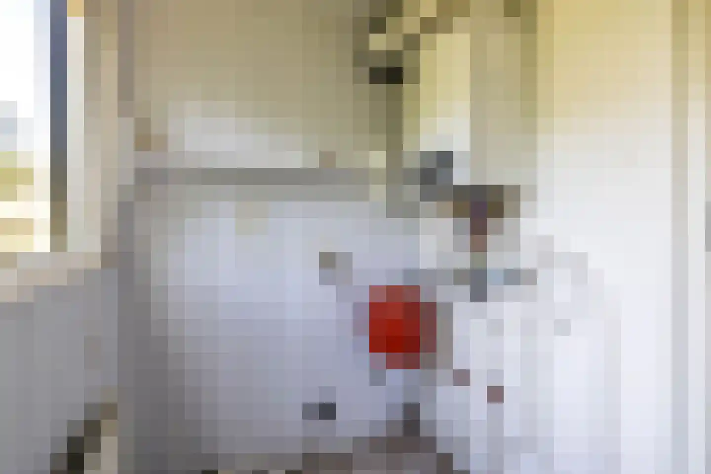 Langewijk 24 Sappemeer thumbnail 16
