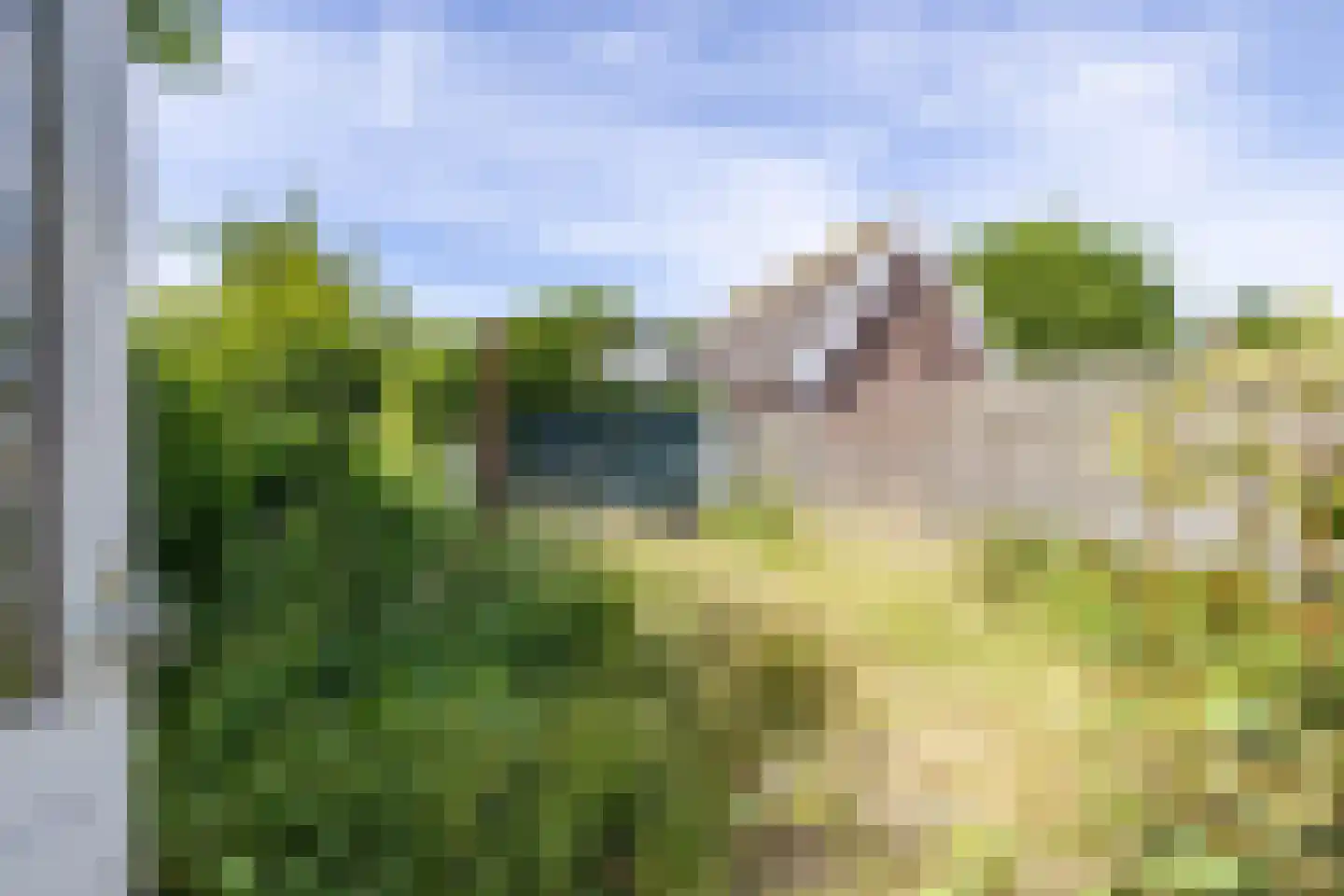 Langewijk 24 Sappemeer thumbnail 19